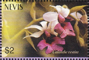 Nevis 2003
