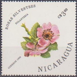 Никарагуа - Nicaragua (1986)