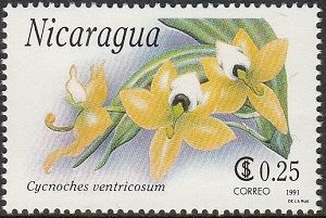 Никарагуа - Nicaragua (1991)
