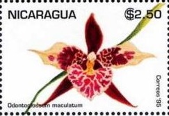Nicaragua 1995