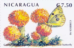 Nicaragua 1998