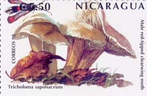 Никарагуа - Nicaragua (1998)