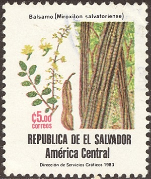 Сальвадор - Salvador 1984