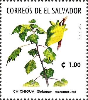 Salvador 1993