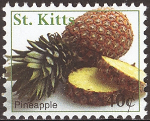 St.Kitts 2007