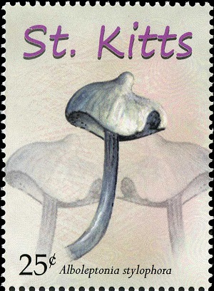 St.Kitts 2010