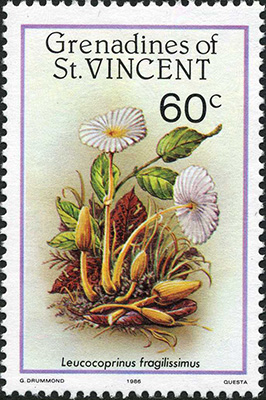 St.Vincent 1986