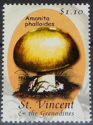 St.Vincent 2001