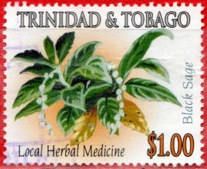 Trinidad 2005