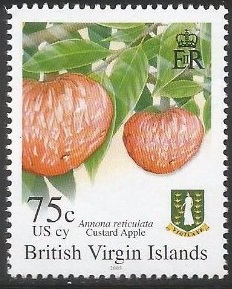 Virgin Islands 2004