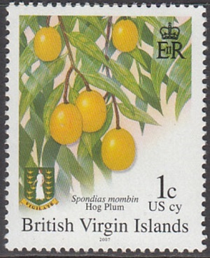 Virgin Islands 2007