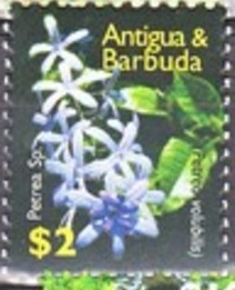 Antigua 2007
