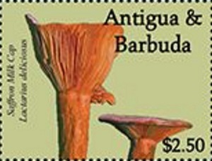 Antigua 2021