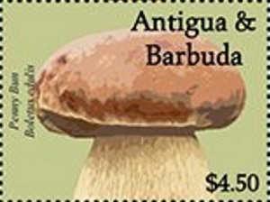 Antigua 2021
