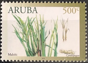 Aruba 2019