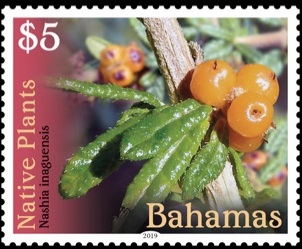 Багамы - Bahamas (2019)