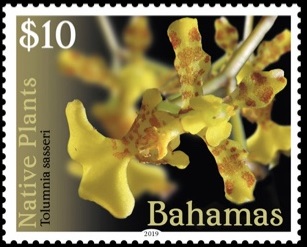 Bahamas 2019