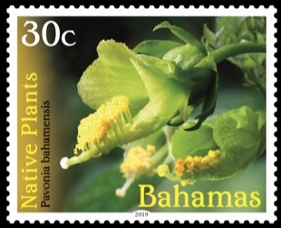 Багамы - Bahamas (2019)