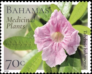 Bahamas 2020
