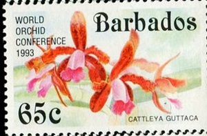Barbados 1993