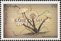Barbuda 1999