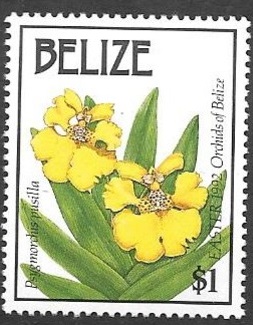 Belize 1992