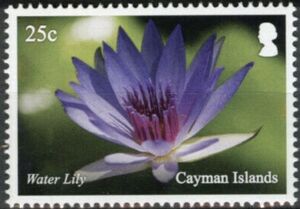 Кайман острова - Cayman Islands (2020)
