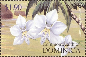 Dominica 2004