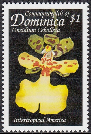 Dominica 1999