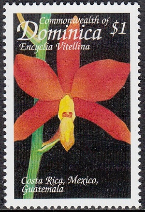 Dominica 1999