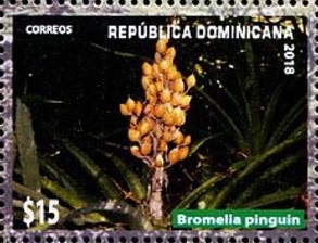 Доминиканская республика - Dominican Republic (2019) 