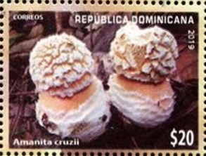 Доминиканская республика - Dominican Republic (2019) 