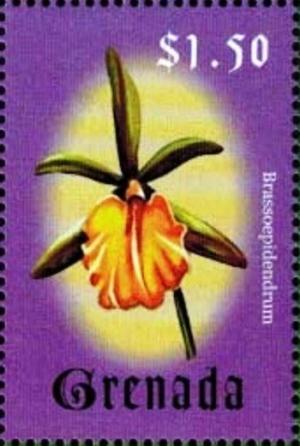 Grenada 2000