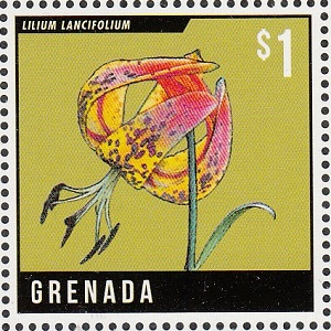 Гренада - Grenada (L.lancifolium - 2013)