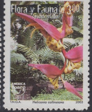 Гватемала - Guatemala (2005)