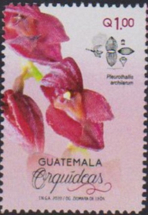 Guaremala 2014