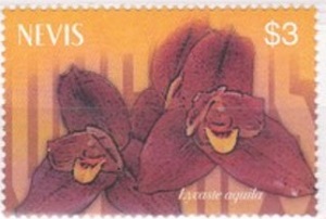 Невис - Nevis (2003)