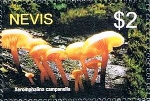 Невис - Nevis (2005)