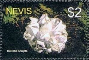 Невис - Nevis (2005)