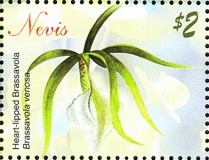 Невис - Nevis (2010)