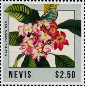 Nevis 2013