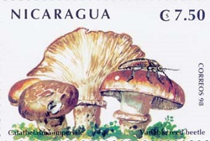 Nicaragua 1999