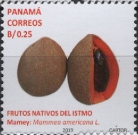 Панама - Panama 2019
