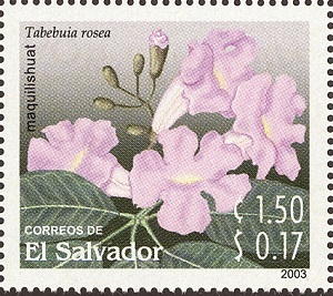 Salvador 2003