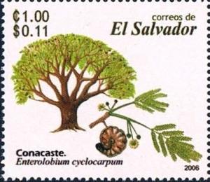 Сальвадор - El Salvador (2006)