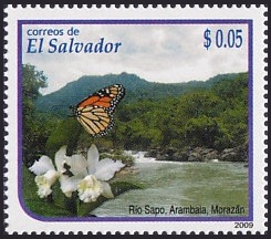 Salvador 2009