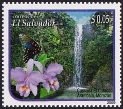 Salvador 2009