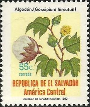 Salvador 1985