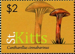 Сент-Киттс - Saint Kitts (2010)