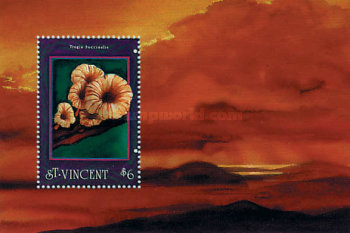 Сент-Винсент - Saint Vincent (1992)